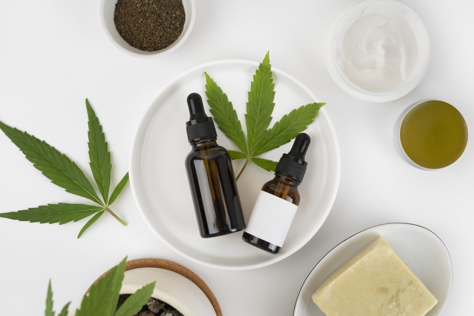 Cannabis medicinal: como alinhar expectativas, segurança e acompanhamento