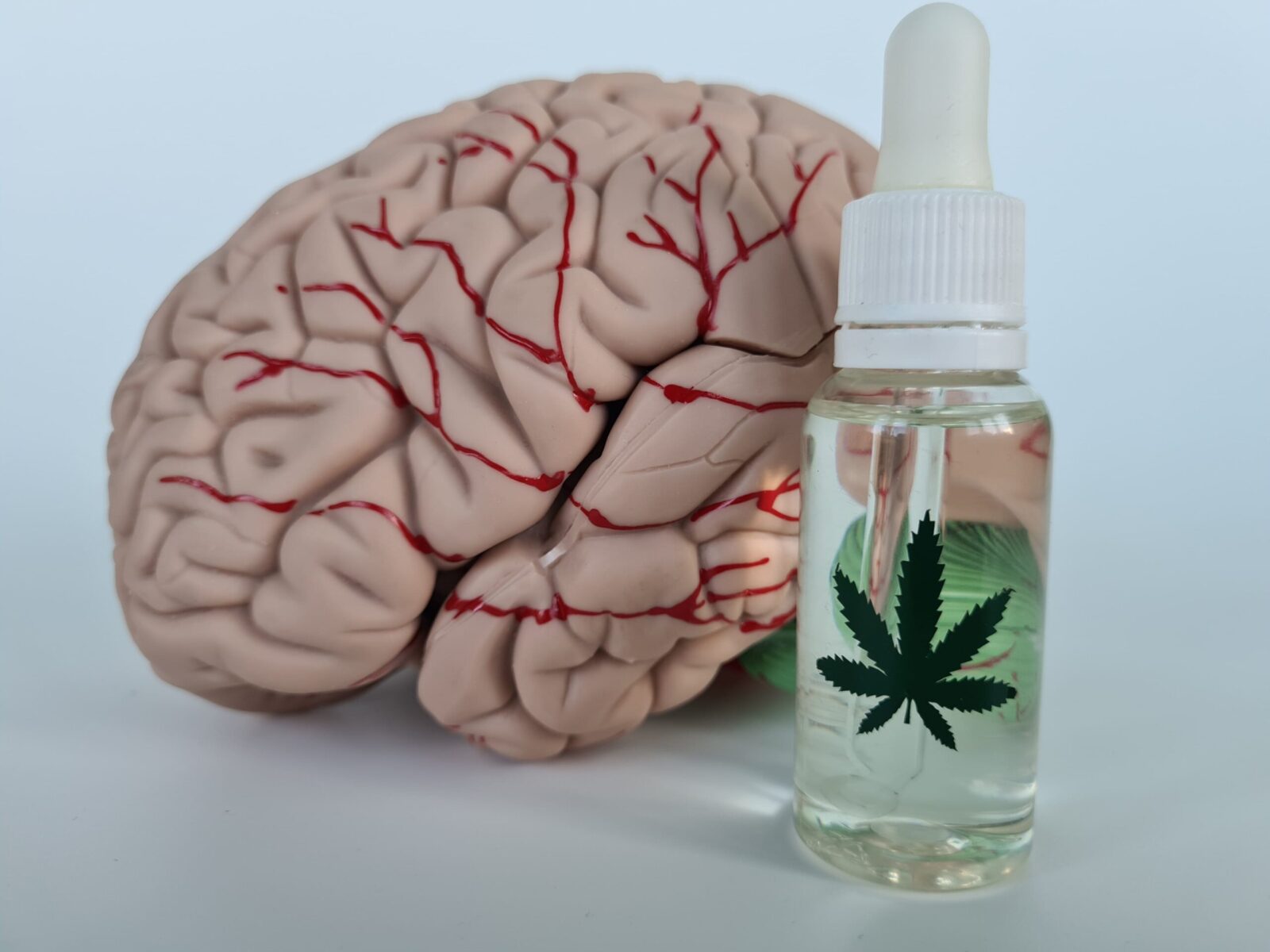 Cannabis medicinal para dor neuropática: quando considerar esse tratamento