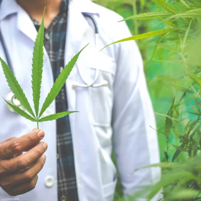 Quem pode prescrever cannabis medicinal e como funciona o acompanhamento clínico